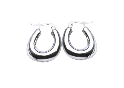 Rhodium Plated | Fashion Earrings